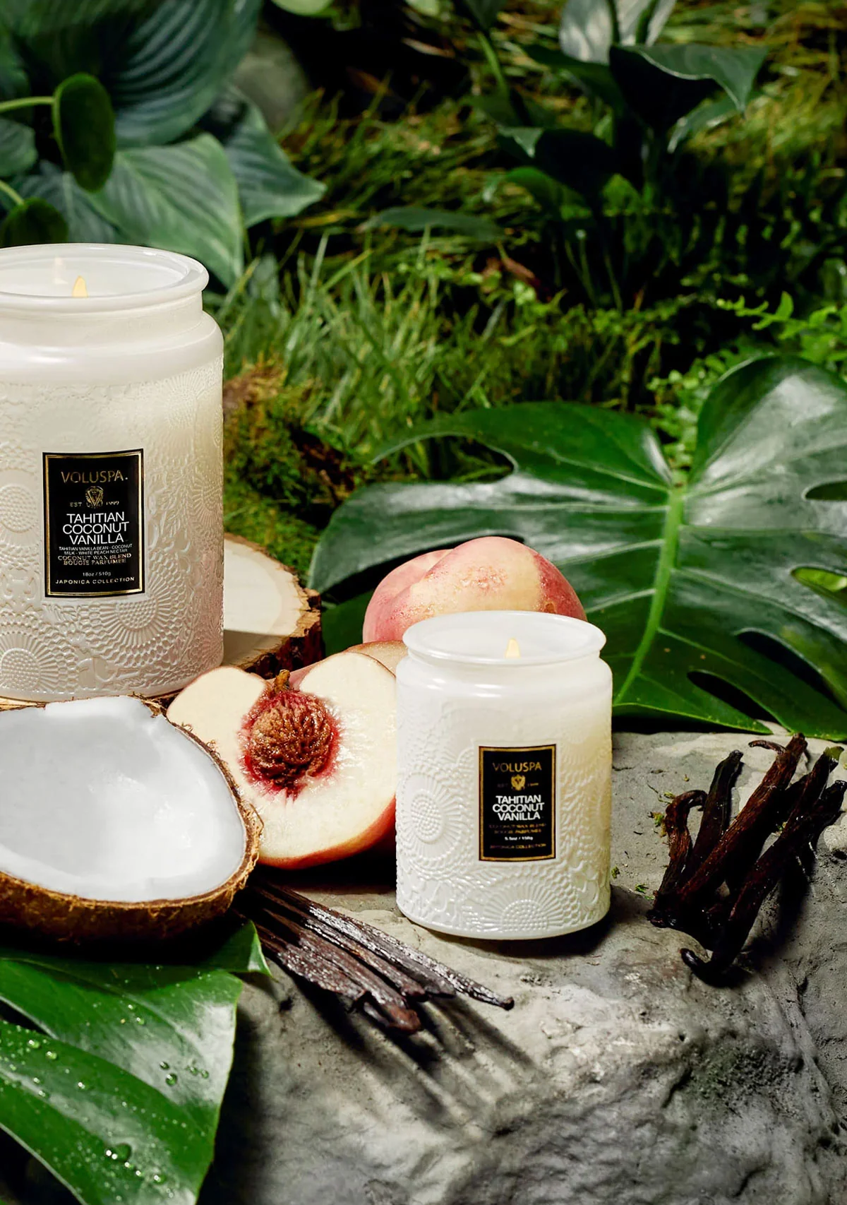 Tahitian Coconut Vanilla Small Jar Candle 5.5oz - Image 2